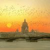 St Petersburg Russia Sunset Diamond Paintings