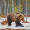 Swedish Brown Bear In Snow Diamond Painting