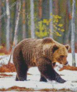 Swedish Brown Bear In Snow Diamond Painting