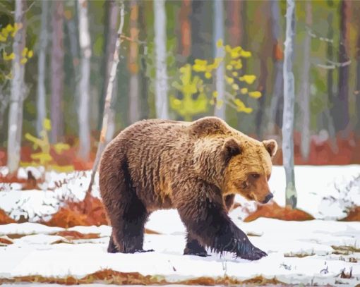 Swedish Brown Bear In Snow Diamond Painting