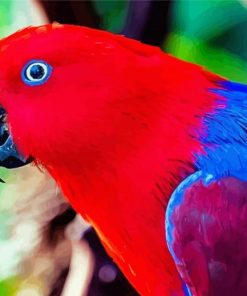 The Eclectus Parrot Bird Diamond Paintings