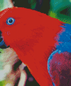 The Eclectus Parrot Bird Diamond Paintings