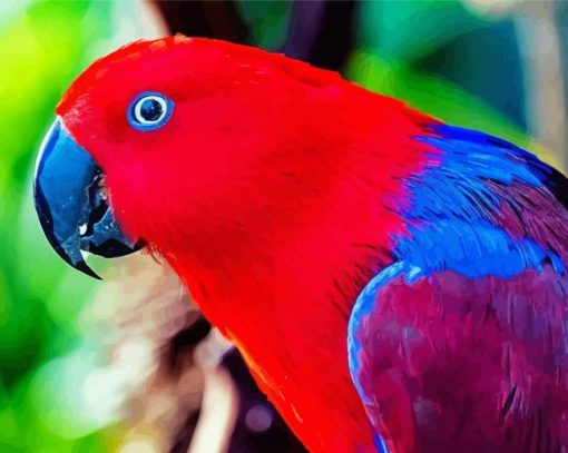 The Eclectus Parrot Bird Diamond Paintings