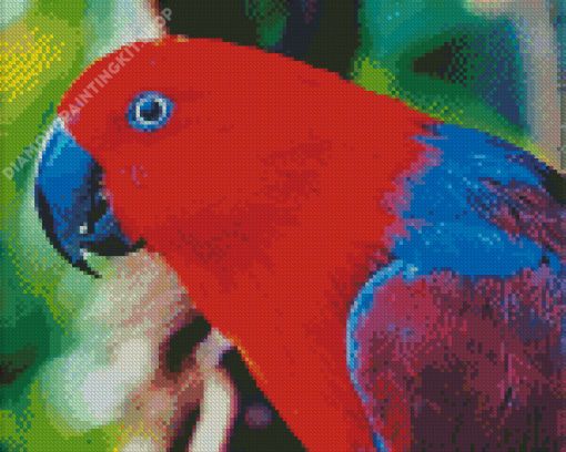 The Eclectus Parrot Bird Diamond Paintings