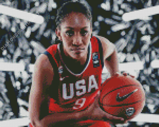 United States Womens National Basketball Player Diamond Painting