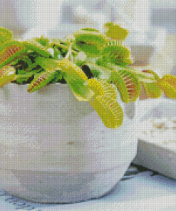 Venus Flytrap Pot Diamond Painting