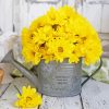 Watering Can With Yellow Flowers Diamond Paintings