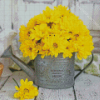 Watering Can With Yellow Flowers Diamond Paintings