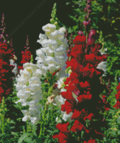 White And Red Snapdragons Diamond Painting