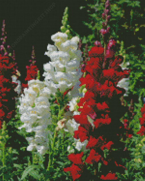 White And Red Snapdragons Diamond Painting