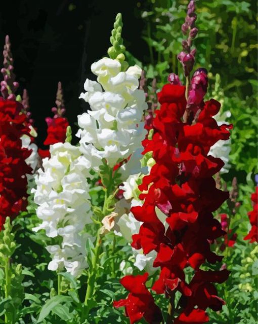 White And Red Snapdragons Diamond Painting