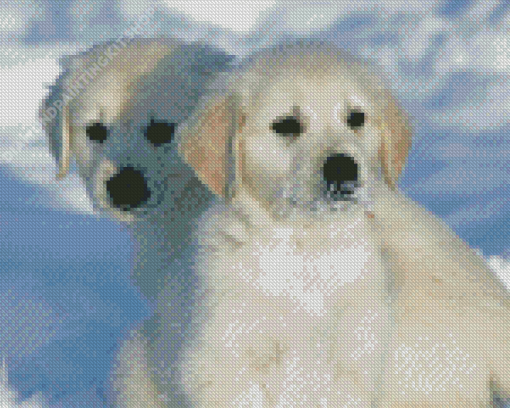 White Golden Retriever Puppies In Snow Diamond Painting