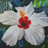 White Hibiscus Flower Diamond Paintings