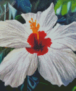 White Hibiscus Flower Diamond Paintings