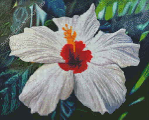 White Hibiscus Flower Diamond Paintings