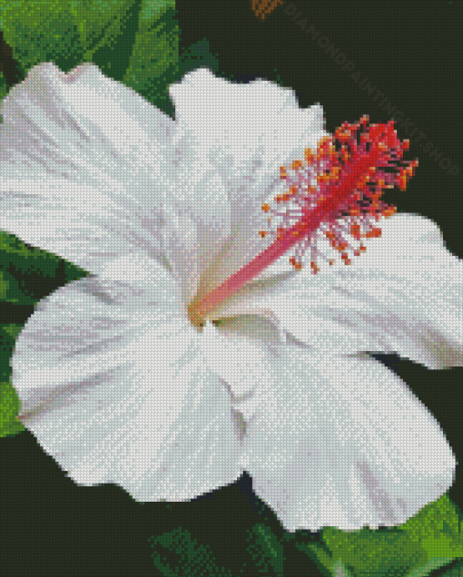 White Hibiscus Plant Diamond Painting