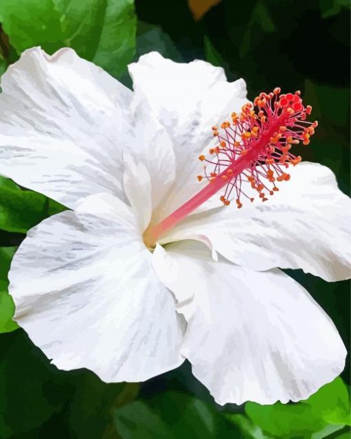 White Hibiscus Plant Diamond Painting