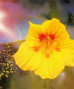 Yellow Nasturtium Art Diamond Paintings