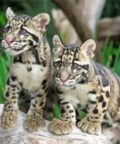 Baby Clouded Leopards Diamond Painting