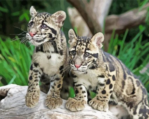 Baby Clouded Leopards Diamond Painting