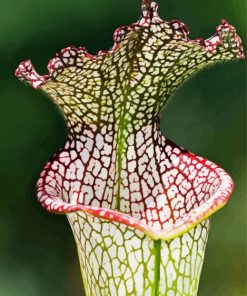 Beautiful Pitcher Plant Diamond Painting