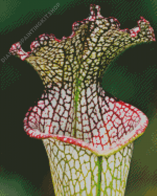 Beautiful Pitcher Plant Diamond Painting