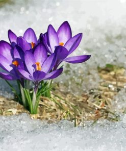 Beautiful Spring Flower In Snow Diamond Painting