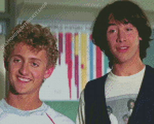 Bill And Ted Diamond Painting