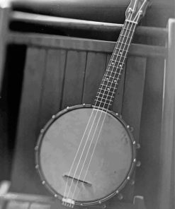 Black And White Banjolele Diamond Painting