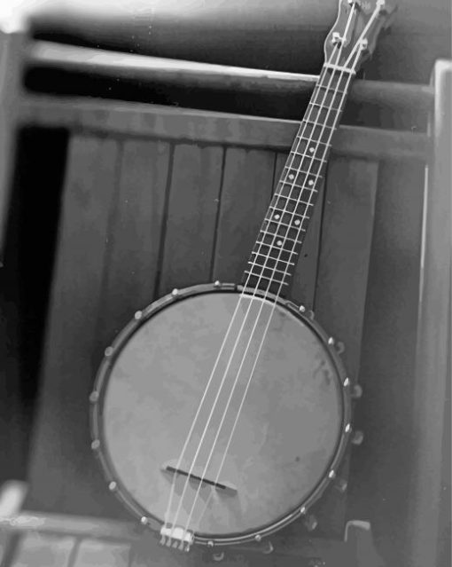 Black And White Banjolele Diamond Painting