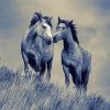 Black And White Couple Horses Diamond Paintings