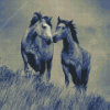 Black And White Couple Horses Diamond Paintings