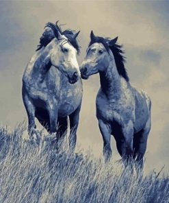 Black And White Couple Horses Diamond Paintings