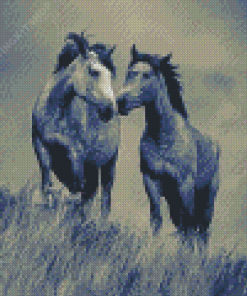 Black And White Couple Horses Diamond Paintings