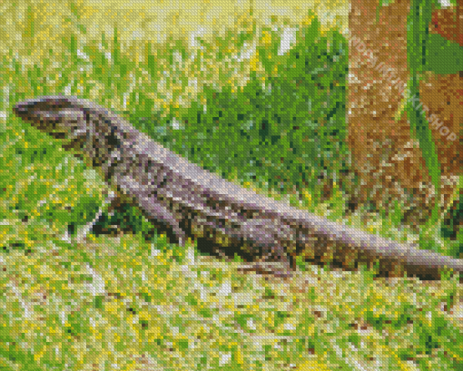 Black And White Tegu Lizard Diamond Painting