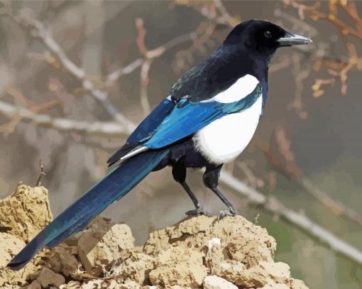 Black Billed Magpie Diamond Painting