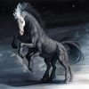 Black Sleipnir Diamond Painting