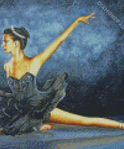 Black Swan Barry J Davis Diamond Paintings