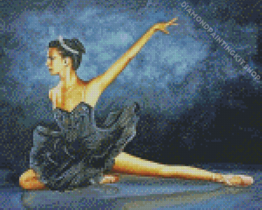 Black Swan Barry J Davis Diamond Paintings