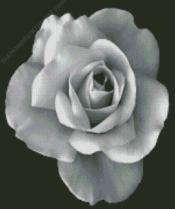 Black And White Rose Diamond Painting