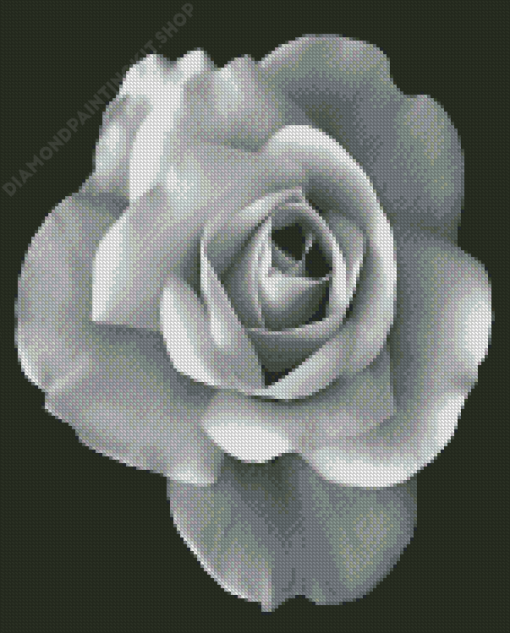 Black And White Rose Diamond Painting