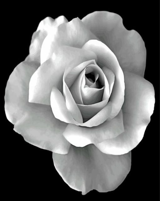 Black And White Rose Diamond Painting