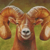 Brown Ram Sheep Diamond Paintings