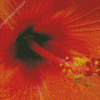 Close Up Orange Hibiscus Diamond Painting