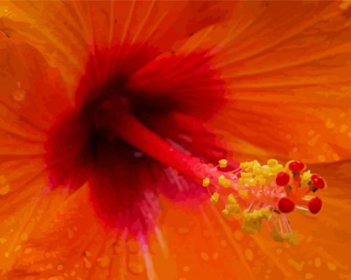 Close Up Orange Hibiscus Diamond Painting