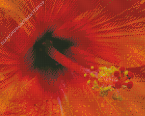 Close Up Orange Hibiscus Diamond Painting