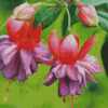 Cool Beautiful Small Flowers Diamond Paintings