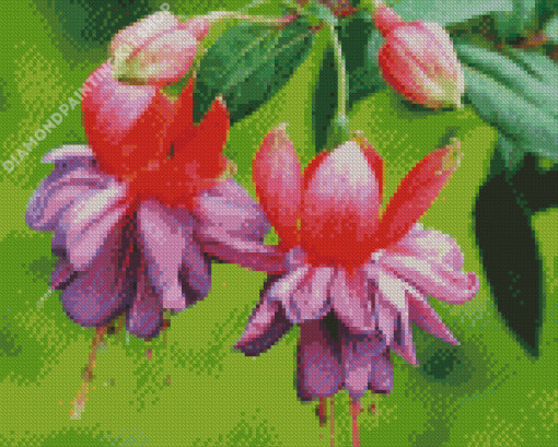 Cool Beautiful Small Flowers Diamond Paintings