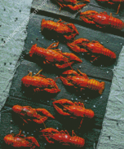 Crayfish Still Life Diamond Painting