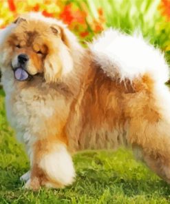 Cute Chow Chow Diamond Paintings